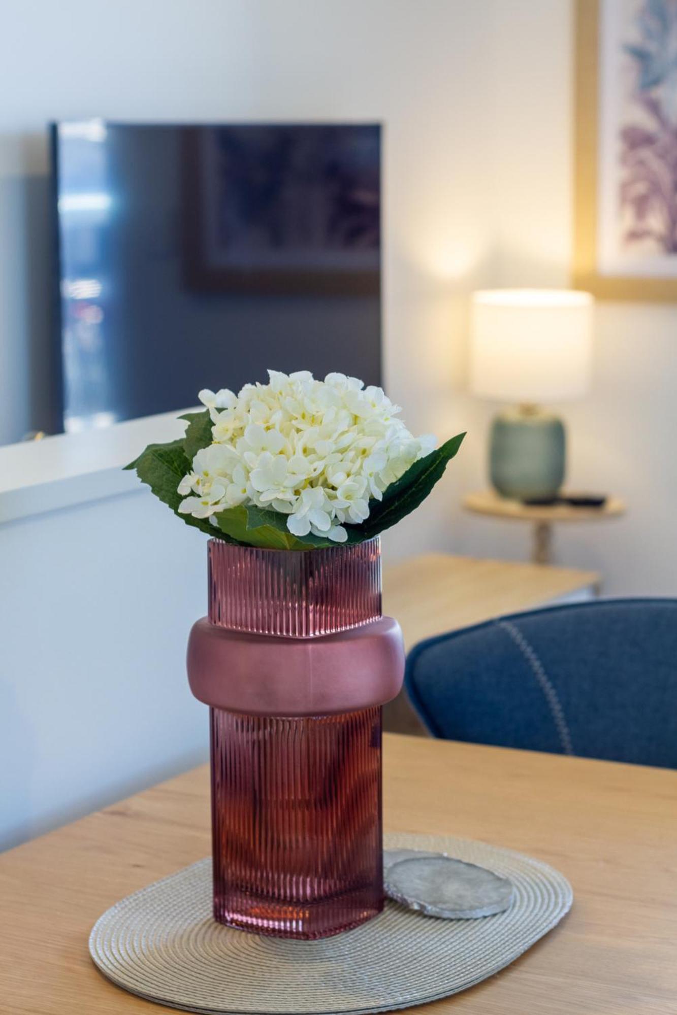 Studio Bliss: Explore From Wilmer St Christchurch Exteriér fotografie